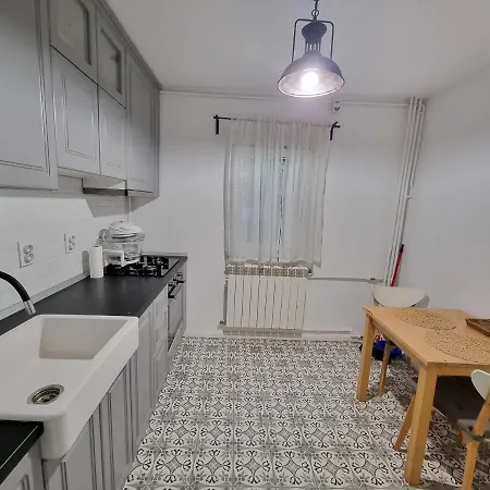 Apartment In The Aviatiei Area On Bucharest