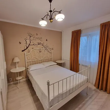 In The Aviatiei Area On Apartment Bucharest